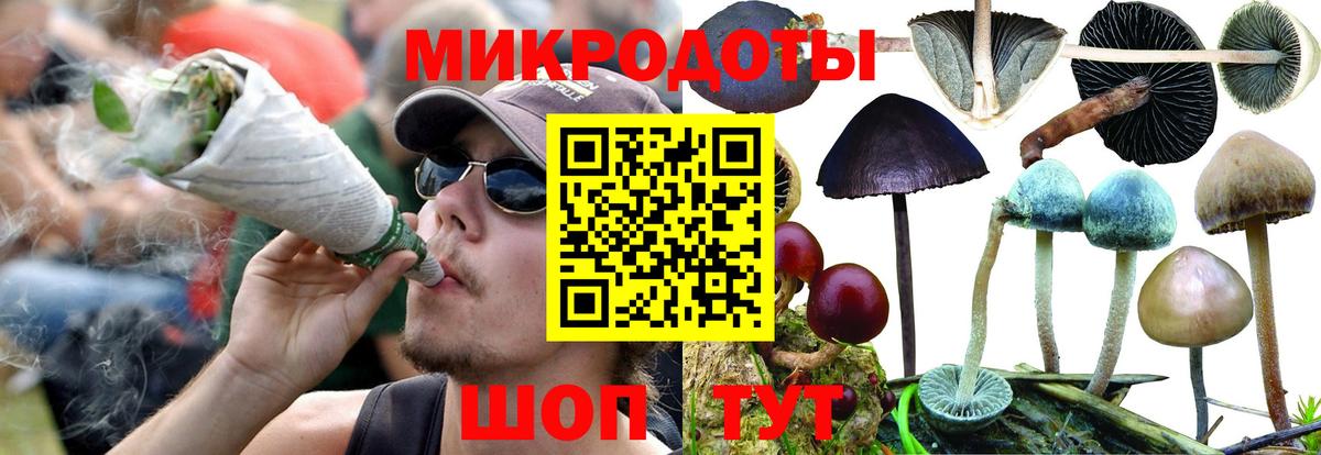 где купить наркотик  Галлюциногенные грибы Cubensis  Вход с VPN  Сухой Лог 
